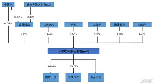 大汉软件转道创业板,2021年增收不增利,研发费用率低于同行