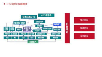 中港教育与大连开鱼科技携手,培养软件开发及新媒体运营人才